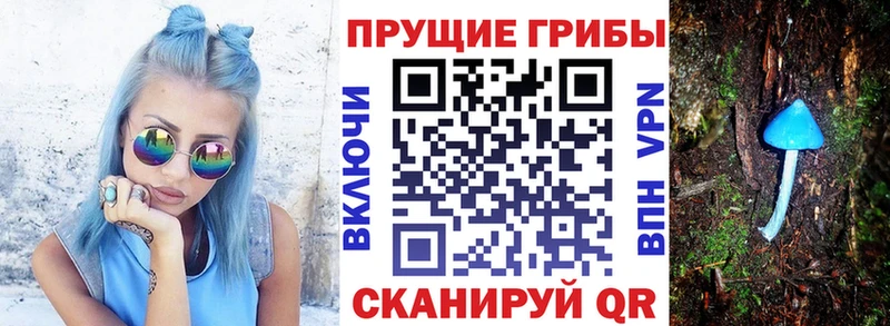 Галлюциногенные грибы прущие грибы  Усмань 